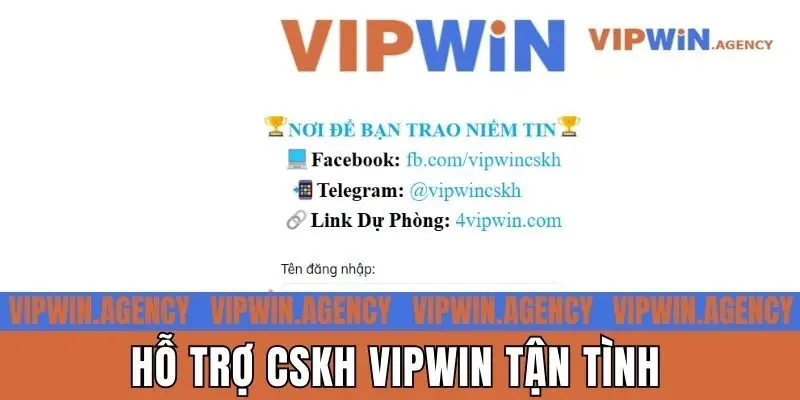 Hỗ trợ CSKH Vipwin tận tình
